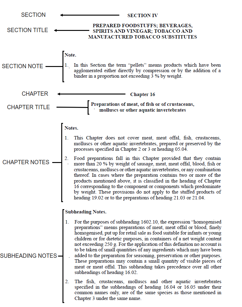 Example of Section Notes & Chapter Notes